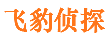 嘉禾市调查公司